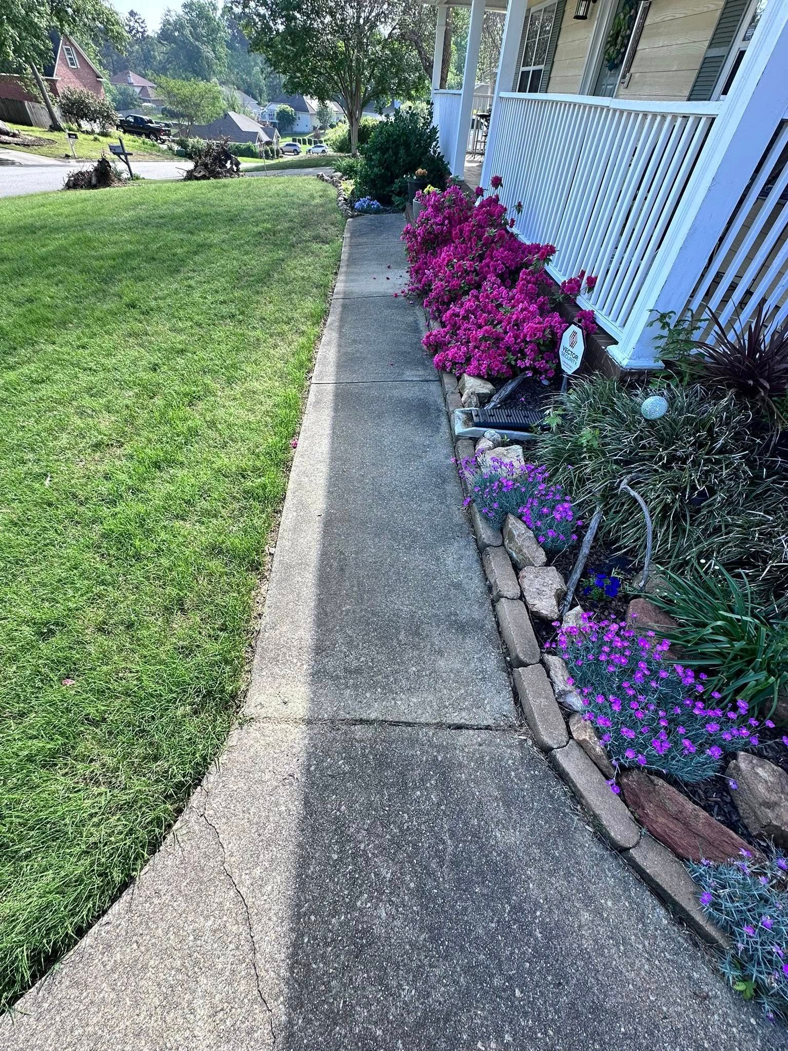 A sidewalk leading to a house with purple flowers and a white porch.