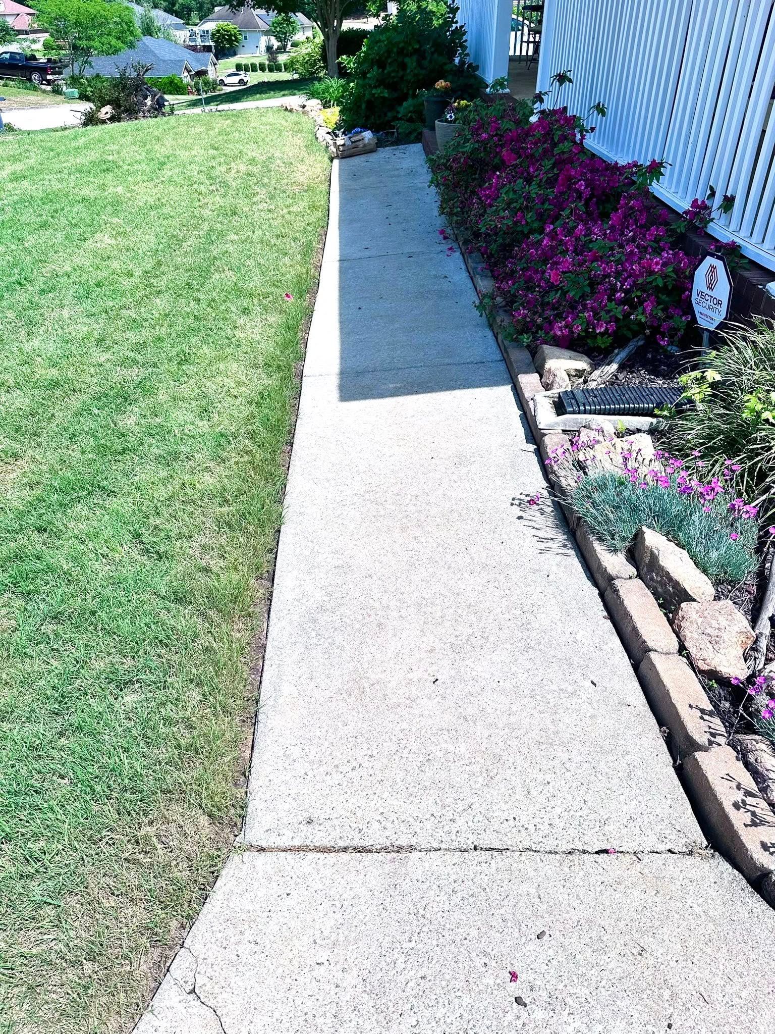A sidewalk leading to a house with purple flowers on the side of it.