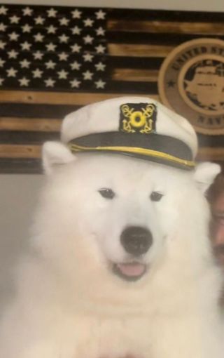 Oliver with Hat