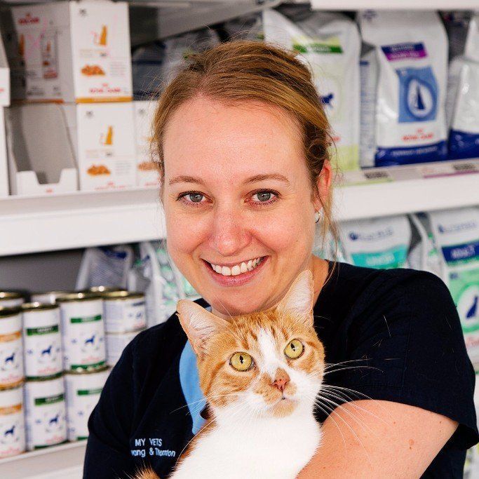 Irrawang Veterinary Hospital Raymond Terrace, NSW Our Doctors