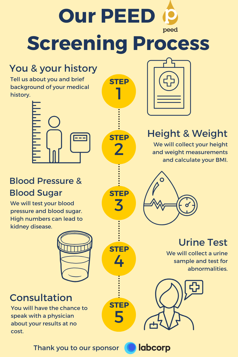 Infographic on PEED screening process with five yellow steps: history, height and weight, blood pressure, urine test, consultation