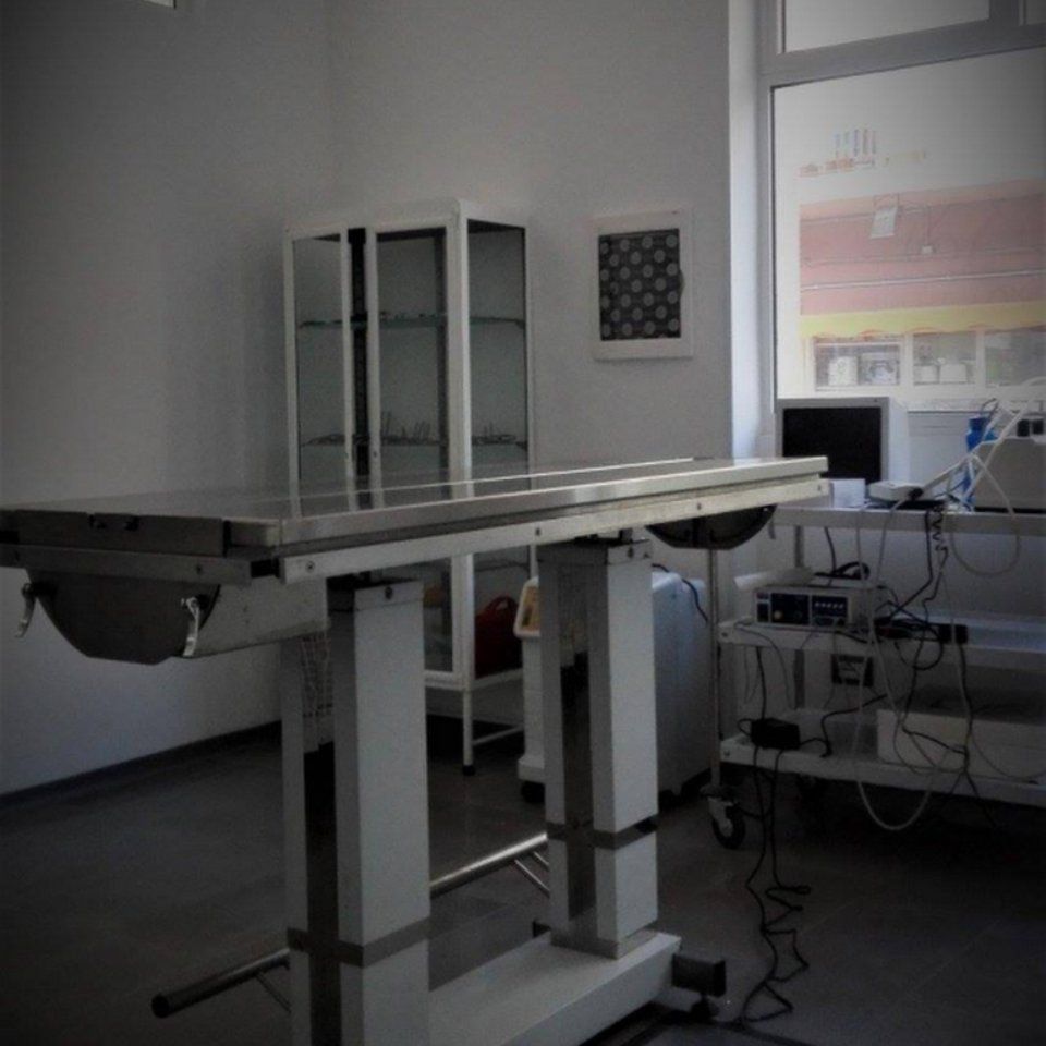 sala operatoria veterinaria