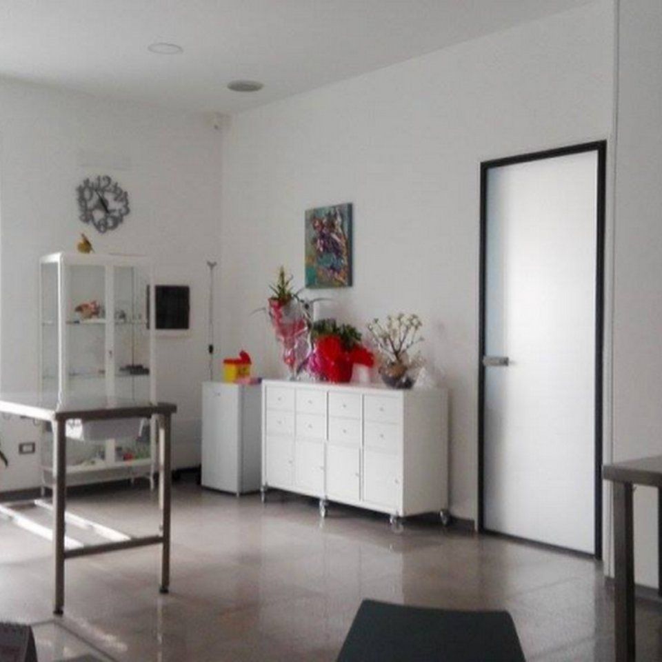 ambulatorio veterinario