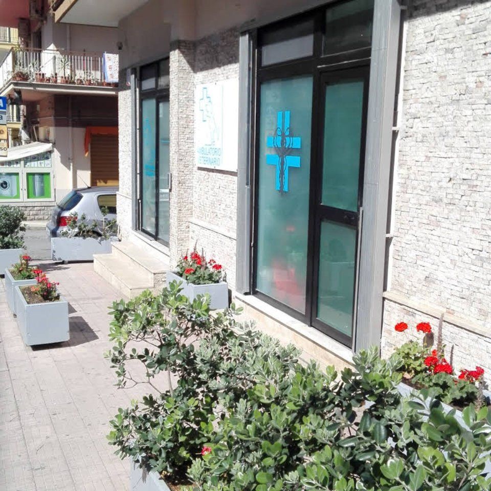 esterni ambulatorio veterinario