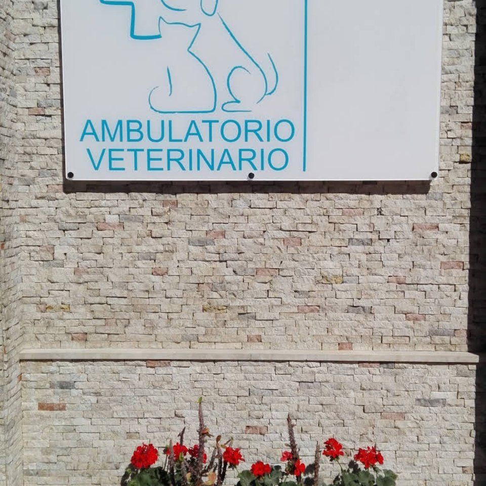 insegna ambulatorio veterinario