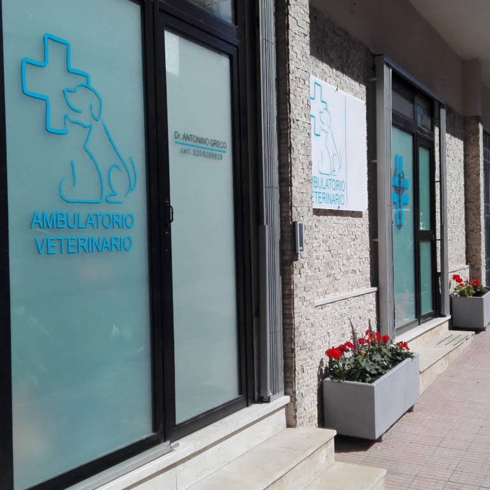 esterni centro veterinario
