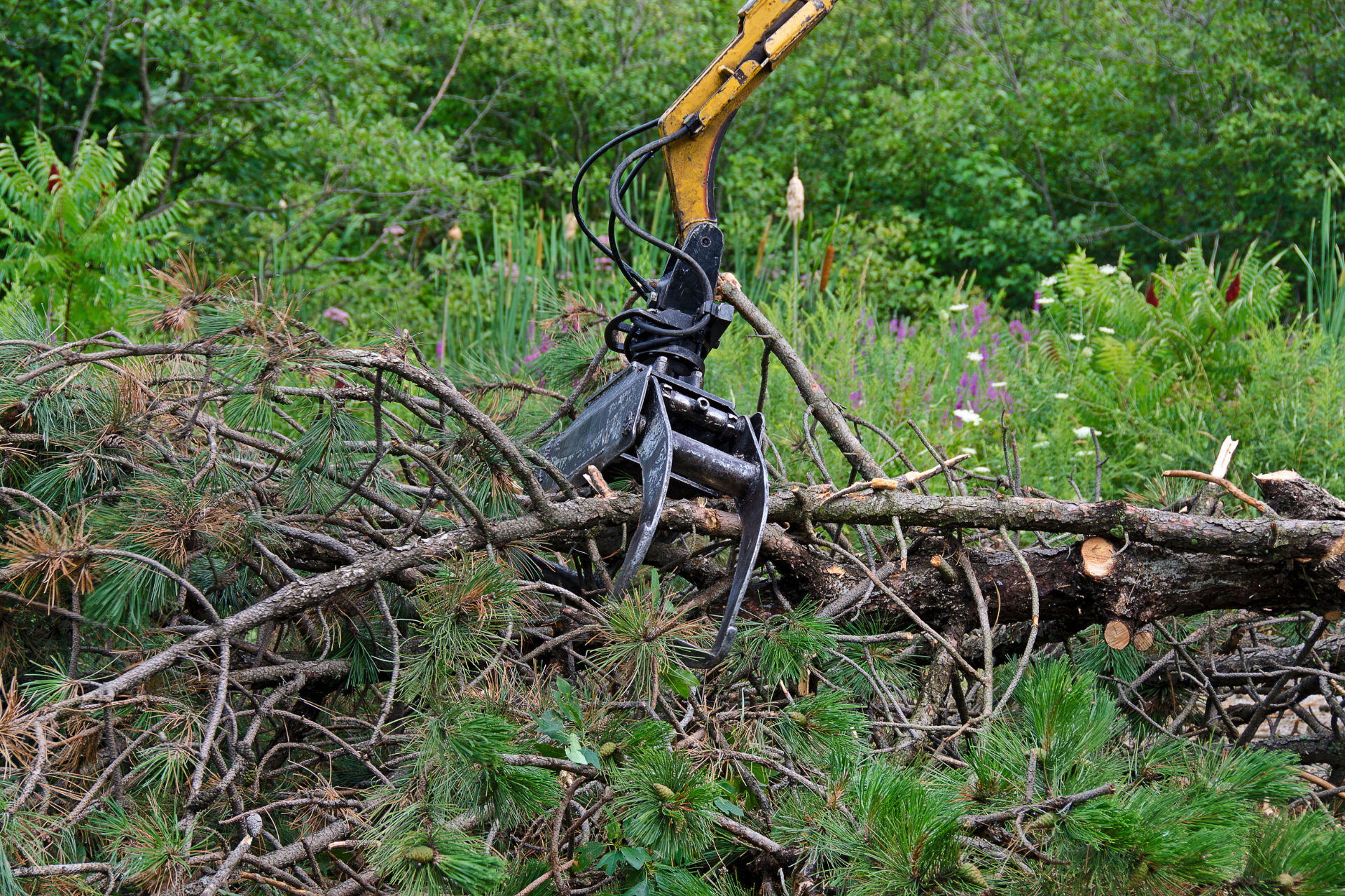 A crane is lifting a pile of logs in the woods.
