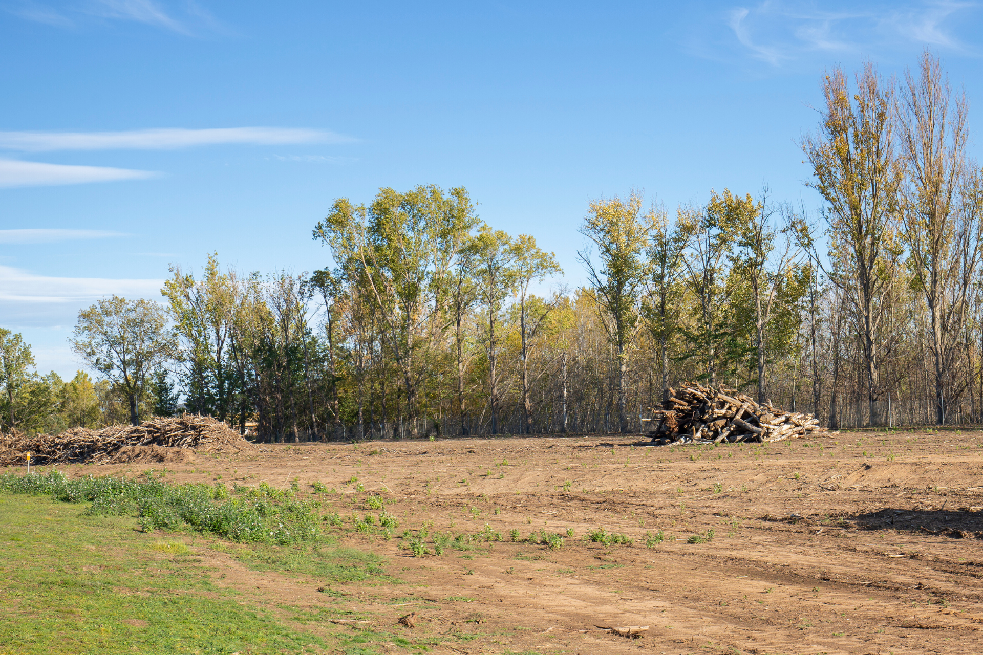 A dirt field with trees in the background on a sunny day.