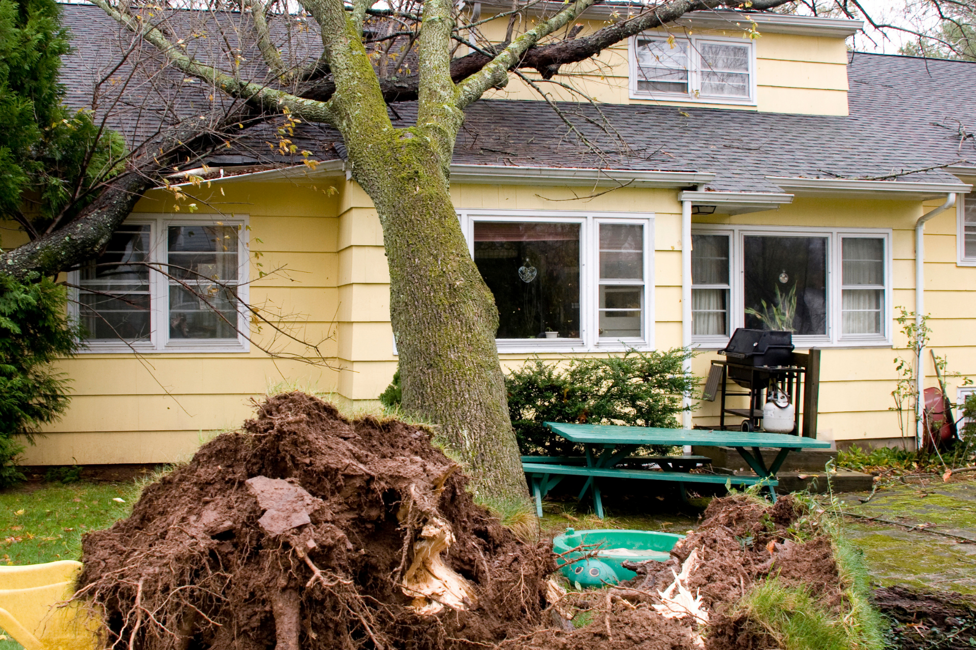 A yellow house with a fallen tree in front of it