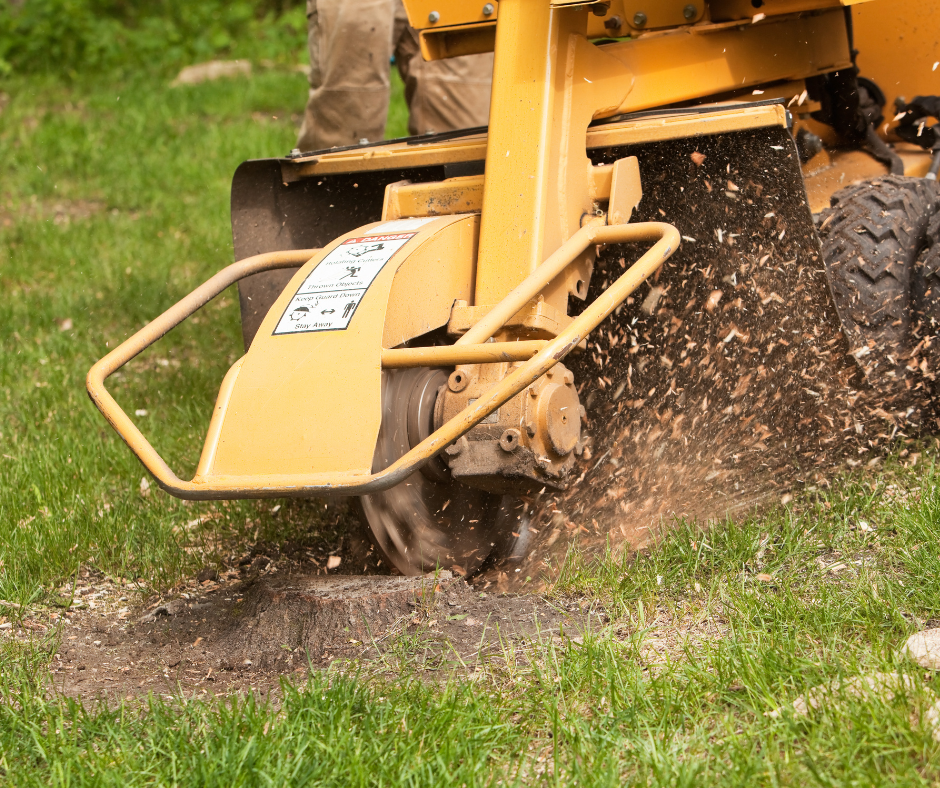 A person is using a stump grinder to remove a tree stump.