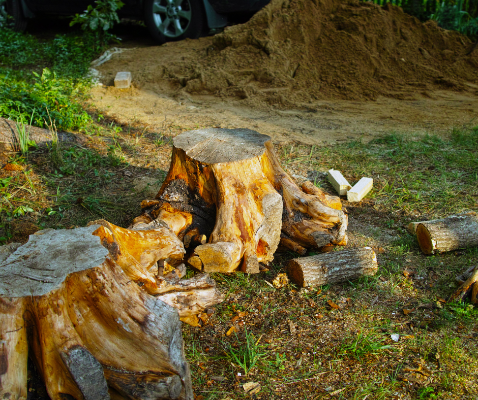 A pile of logs is sitting in the grass next to a pile of dirt.