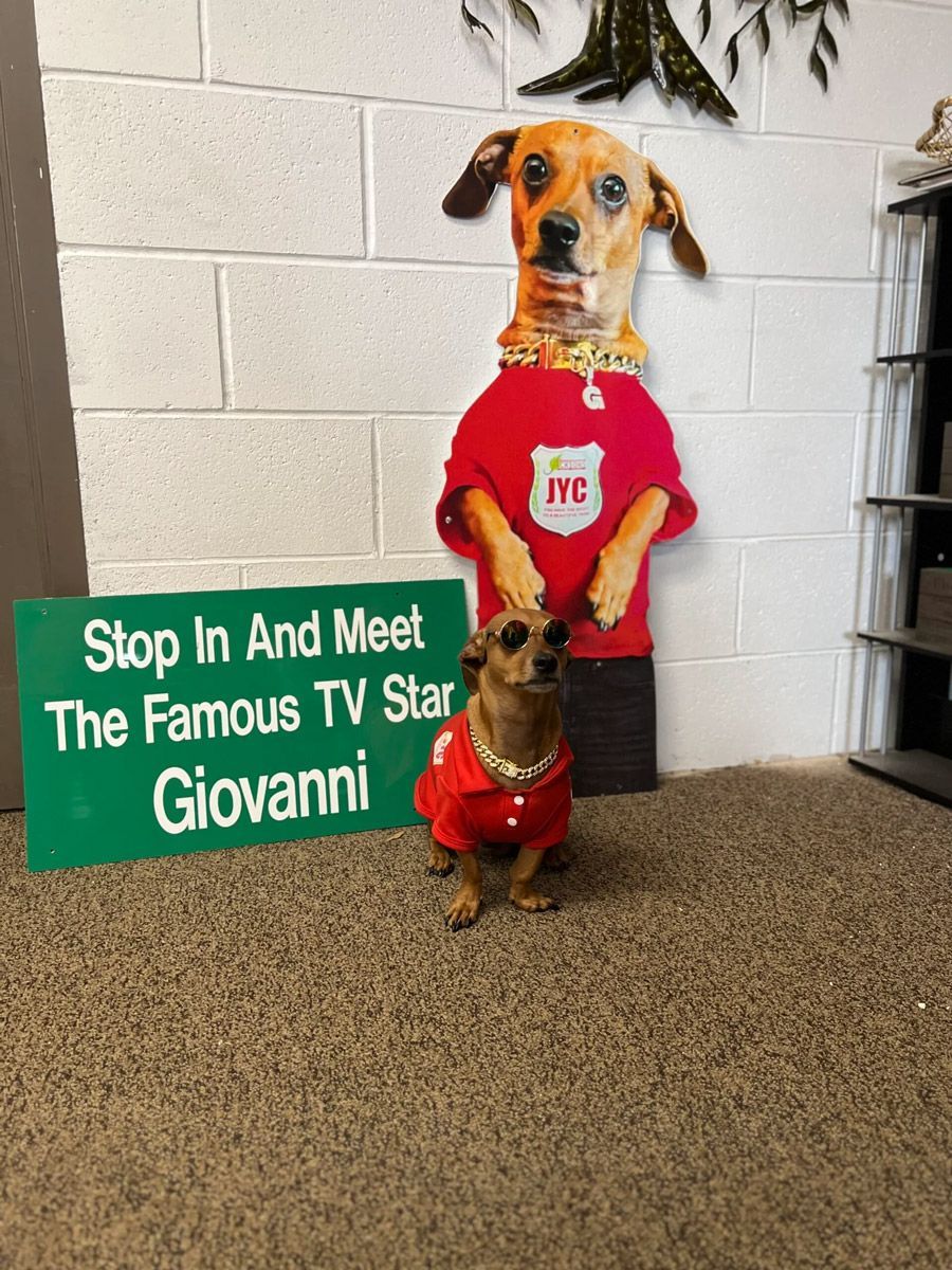 Giovanni — Sun Prairie, WI — Jacksons Yard Care LLC