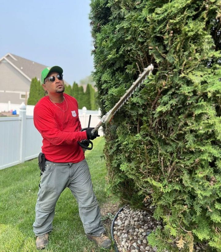 Man Trimming the Tree — Sun Prairie, WI — Jacksons Yard Care LLC