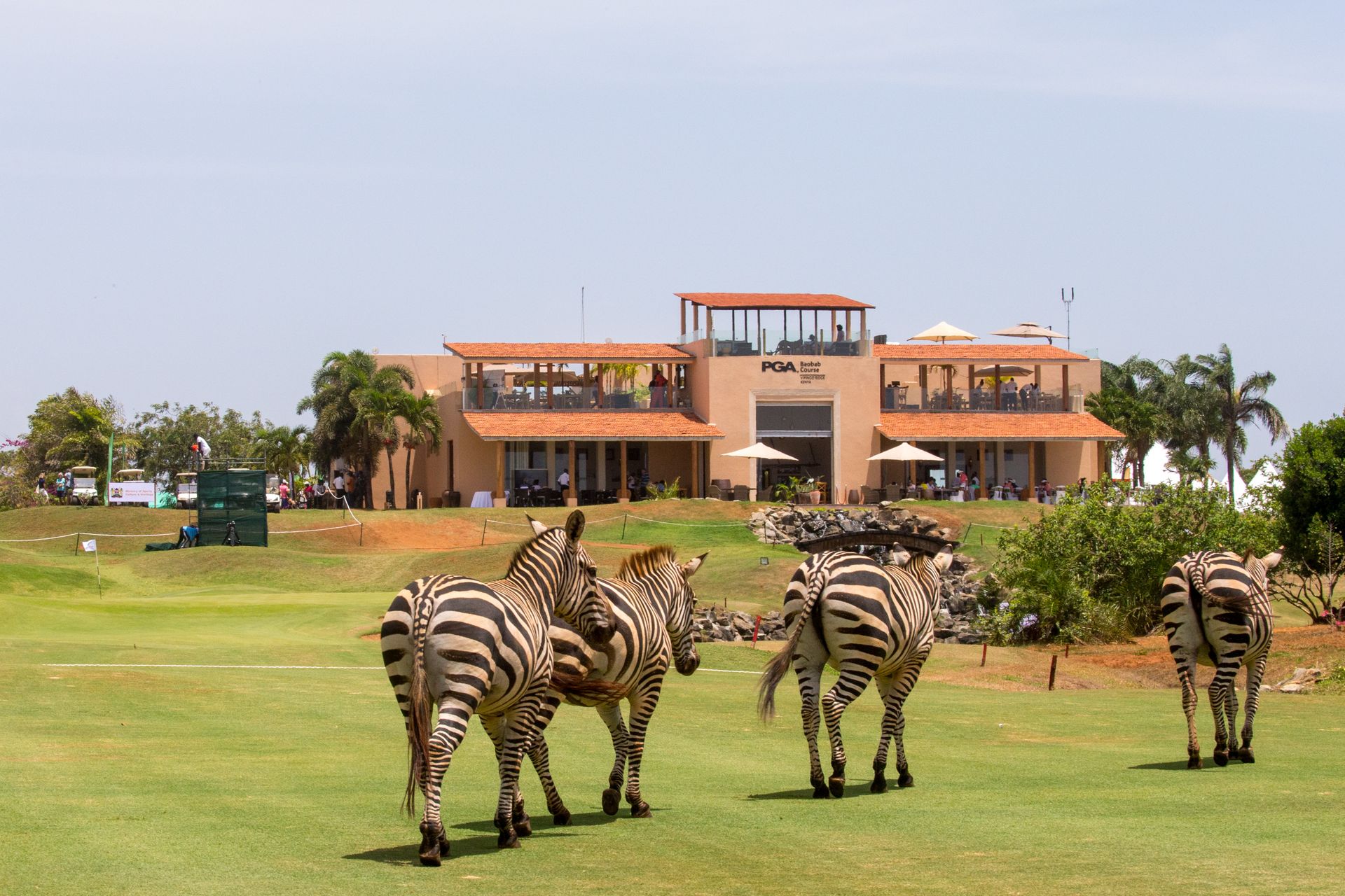 Vipingo Golf Course Kenya Epic Golf Safaris