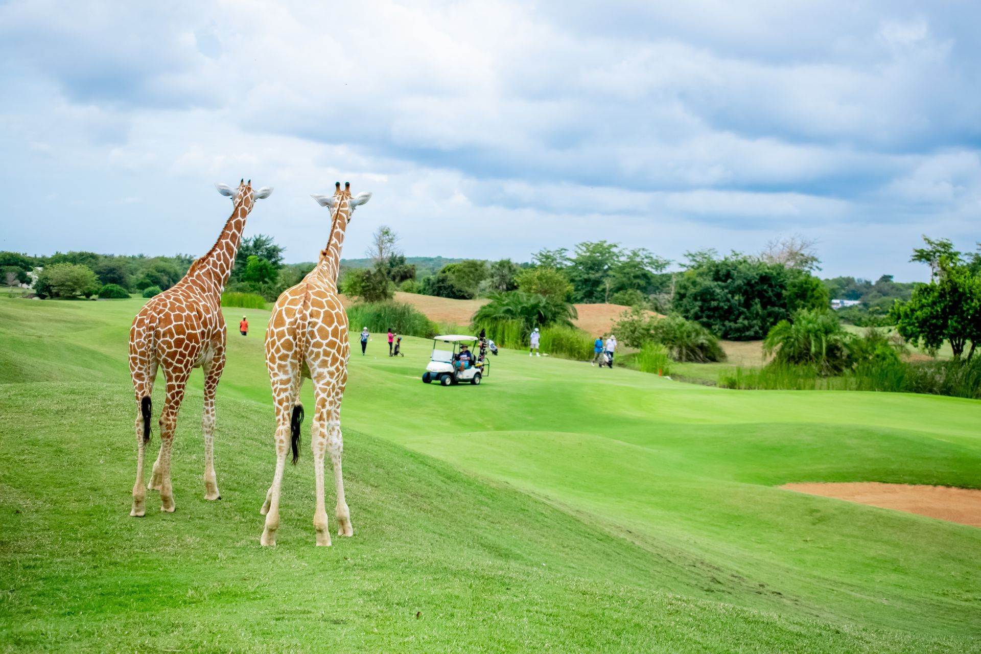 Vipingo Ridge golf course Kenya
