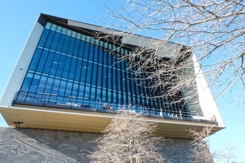 A large building with a lot of windows and a tree in front of it.