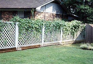 Wooden Fence With Holes — Meridian, Mississippi — United Fence Co.