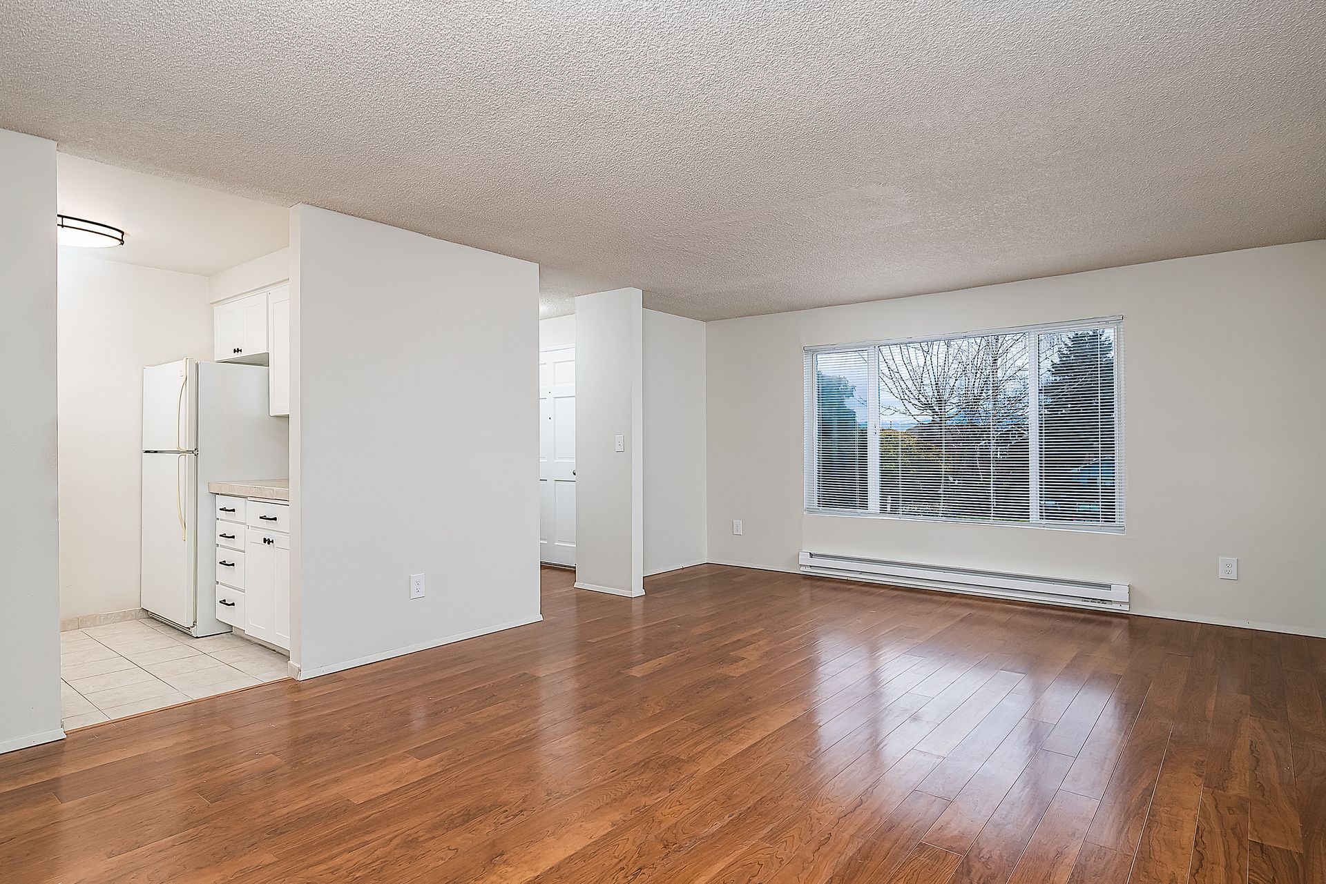 Photo showing the length of the living room