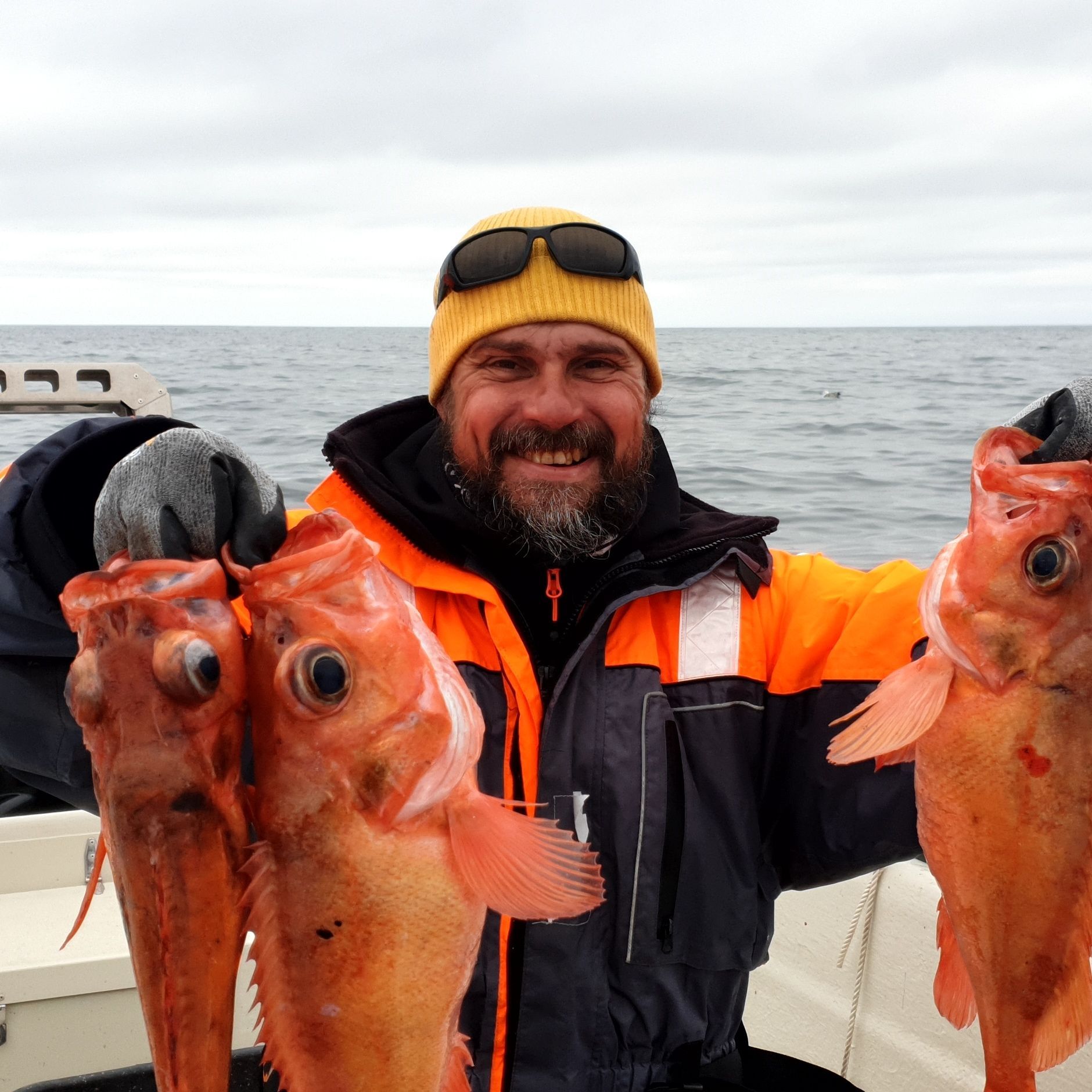 Uerfisker Helnessund