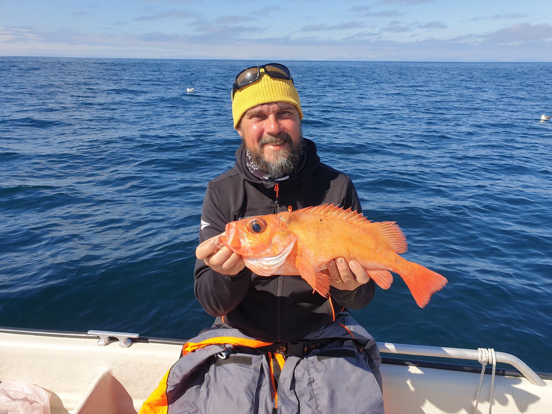 Uerfangst Helnessund