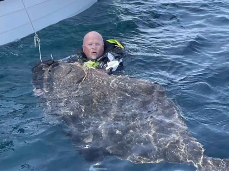 Utleie flytedresser og fiskestenger.