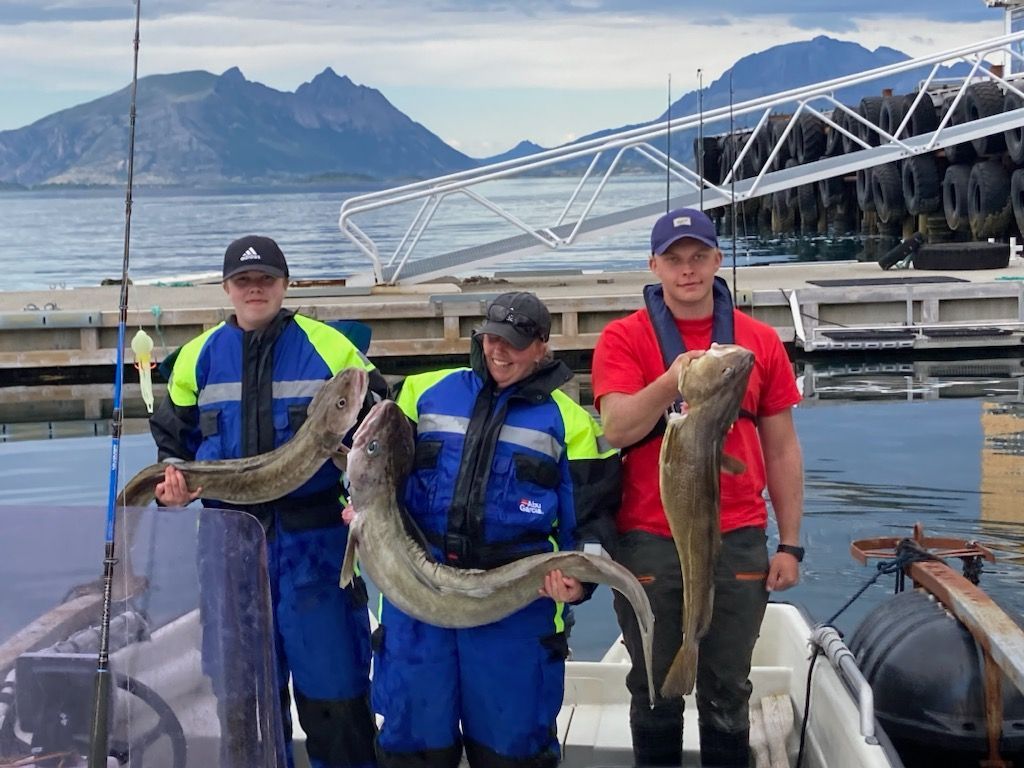 Familie fiske Helnessund