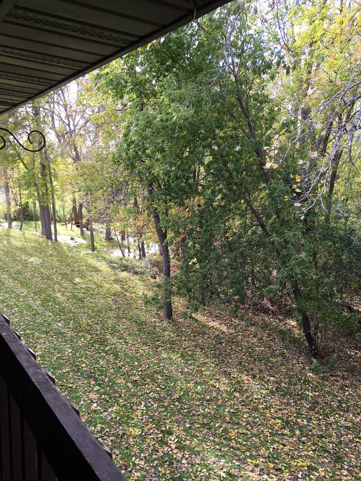 Deerfield Apartments