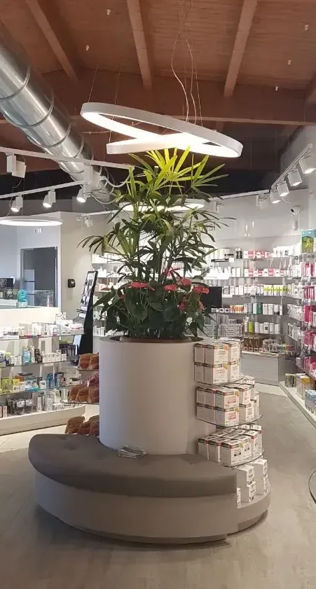 Arredamento Farmacia Sandigliano Biella, expo centrale con inserimento pianta