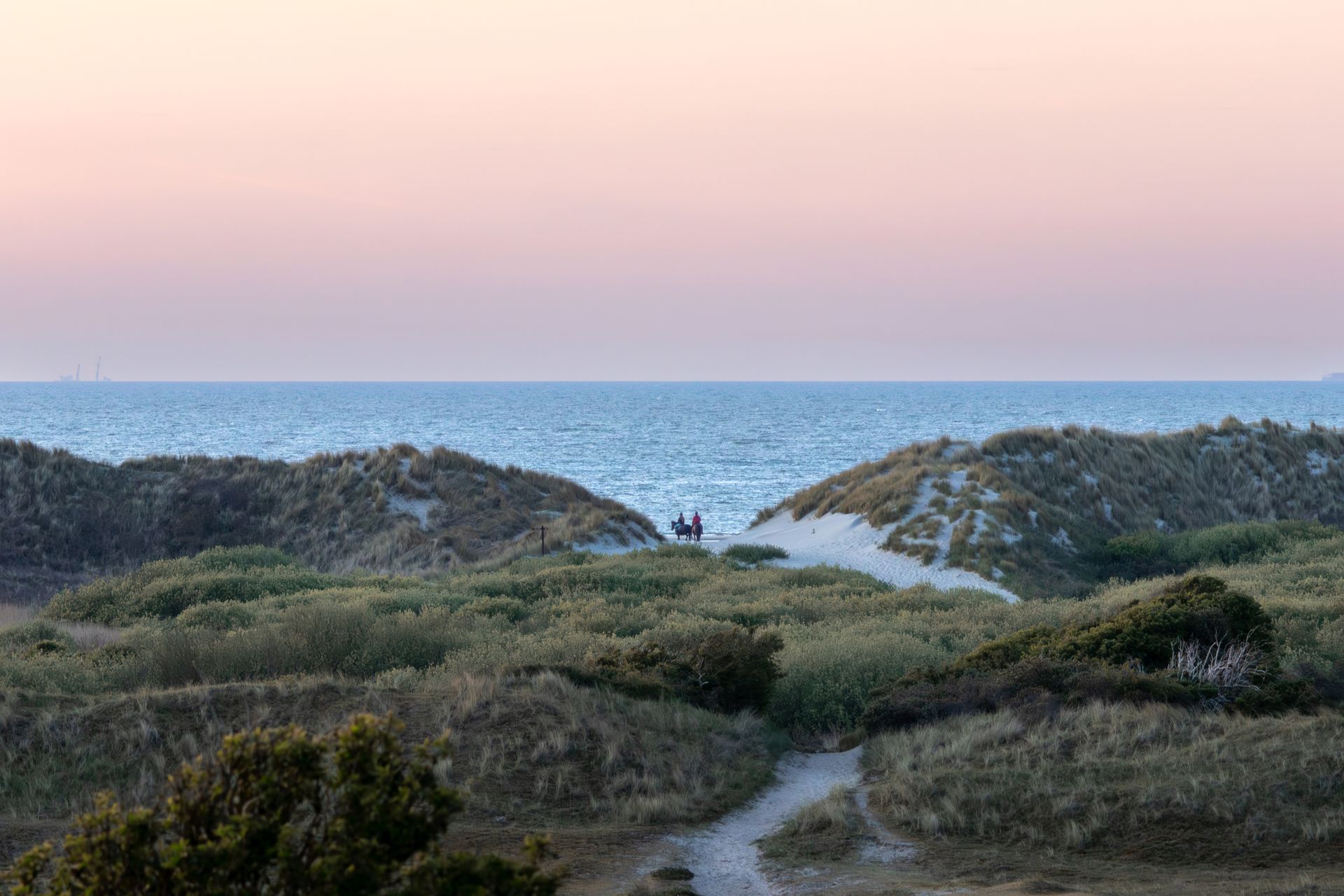 Strandritten te paard op Ameland met persoonlijke begeleiding Mensen te paard lopen tussen zandduinen richting een grijze oceaan onder een bewolkte hemel.