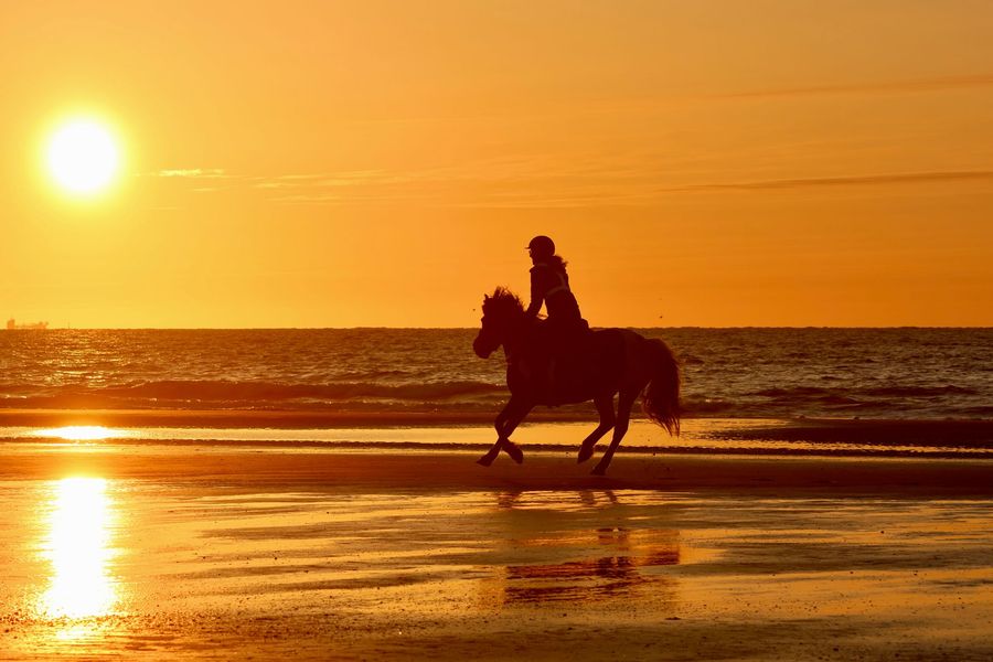 paardrijden op het strand van Ameland bij Hollumer Trap met zonsondergang.