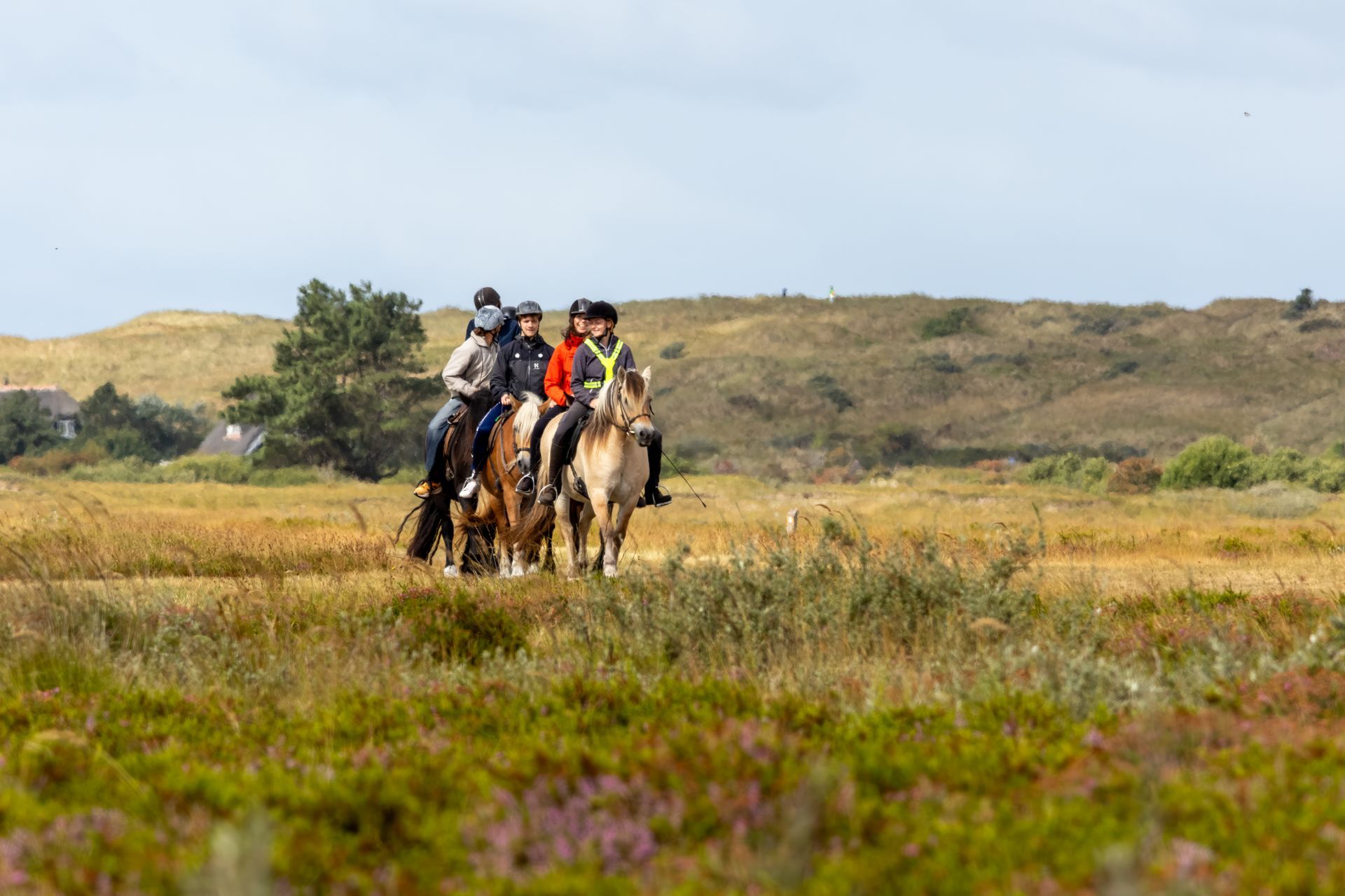 Group of riders on horseback in a grassy field. Riders wear helmets and ride along a path in nature