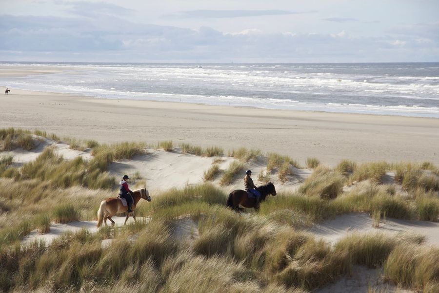 Twee mensen rijden paarden op het strand van Ameland. 