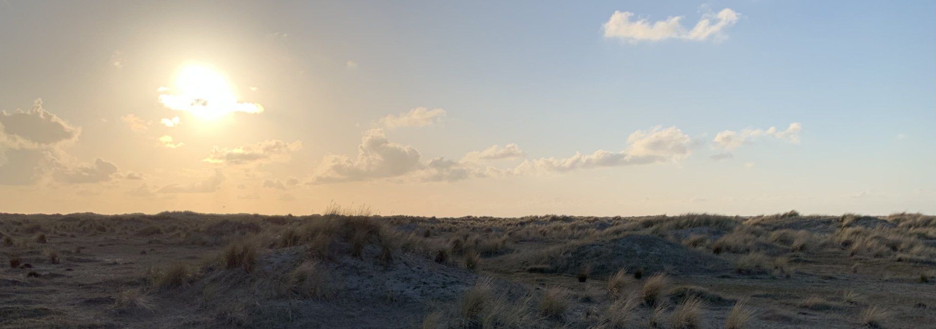 Duinen Ameland Strand