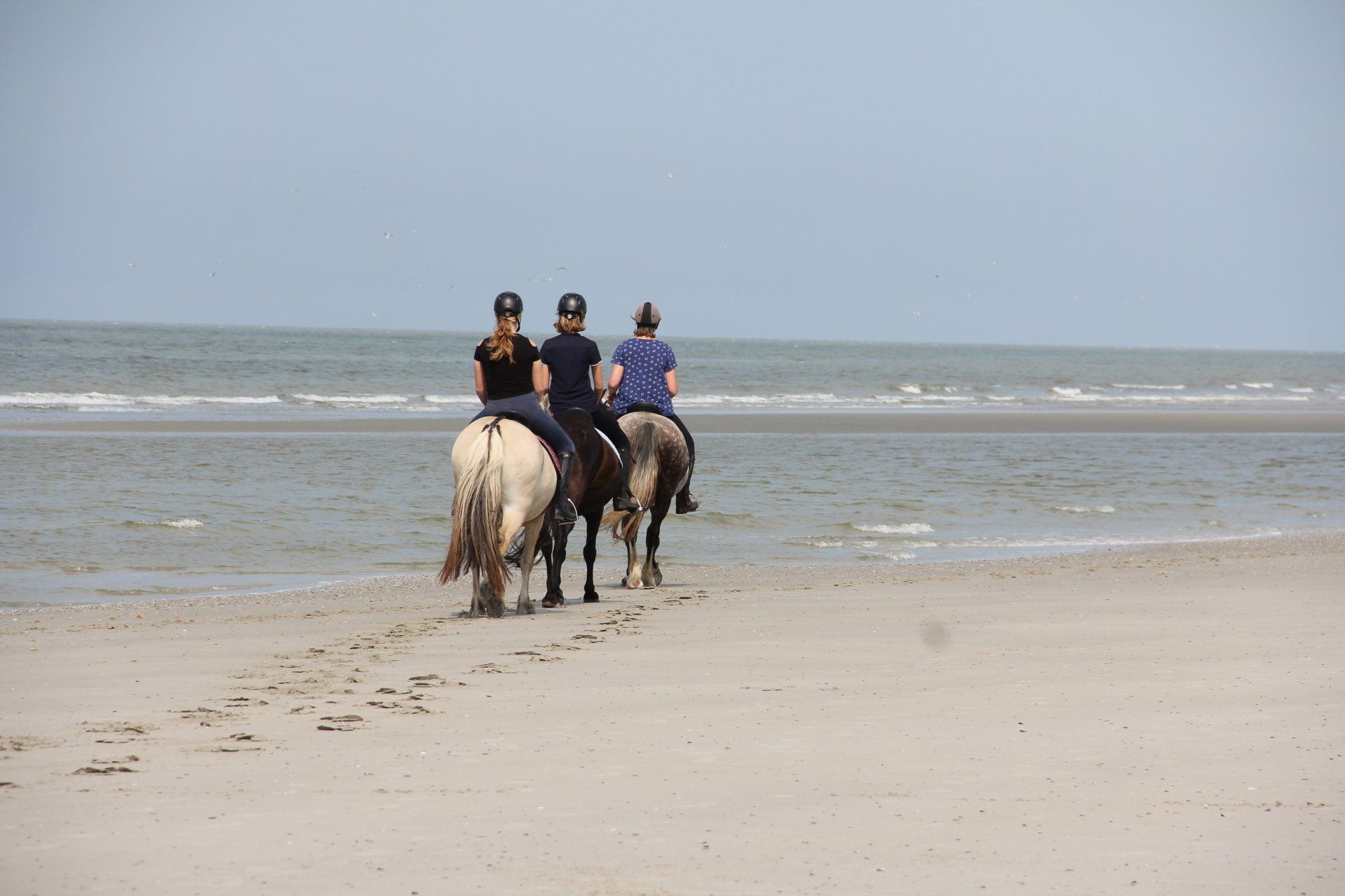 Waar mag je met je paard op het strand van Ameland?