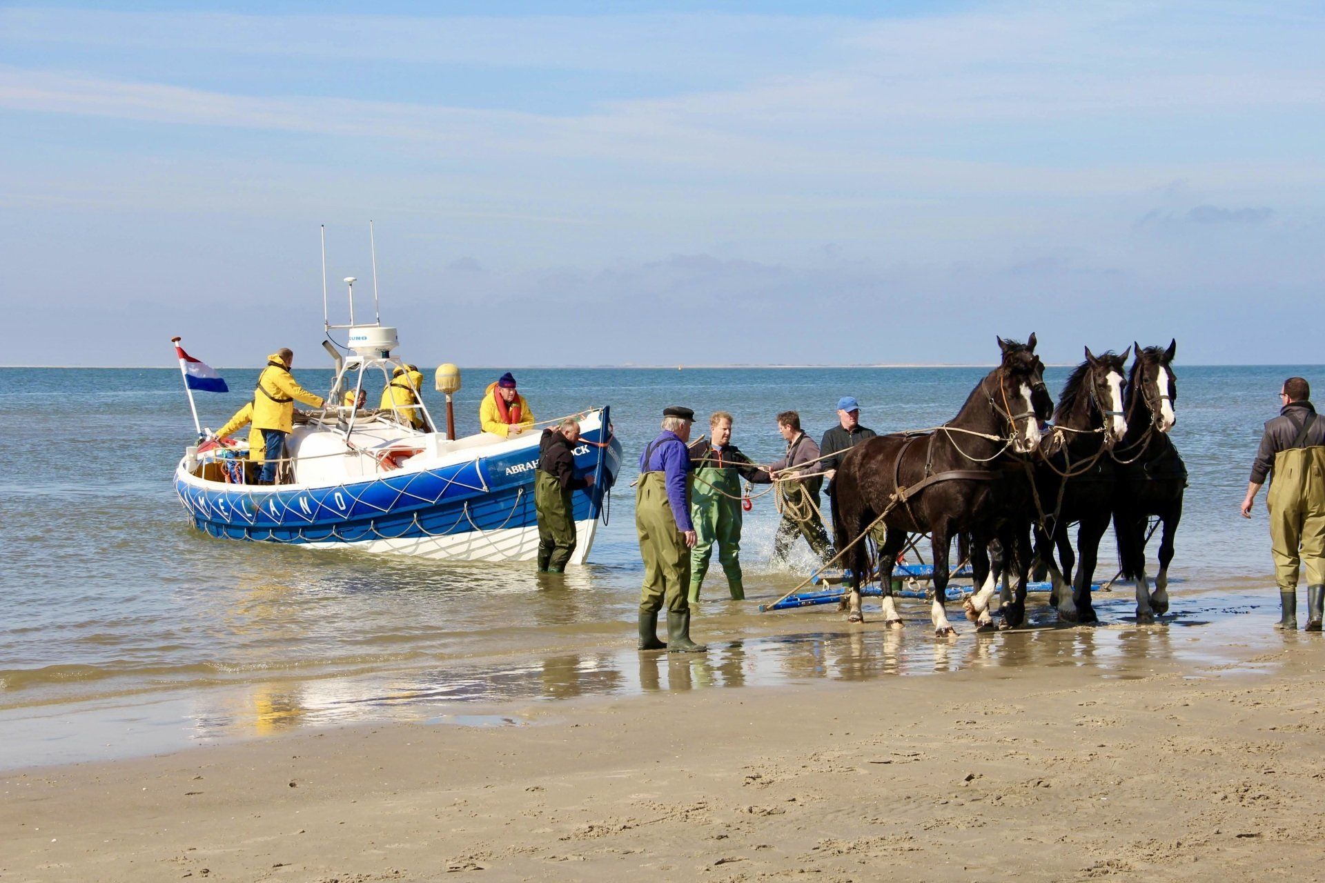 Paardenreddingsboot demonstratie Ameland door G Talsma