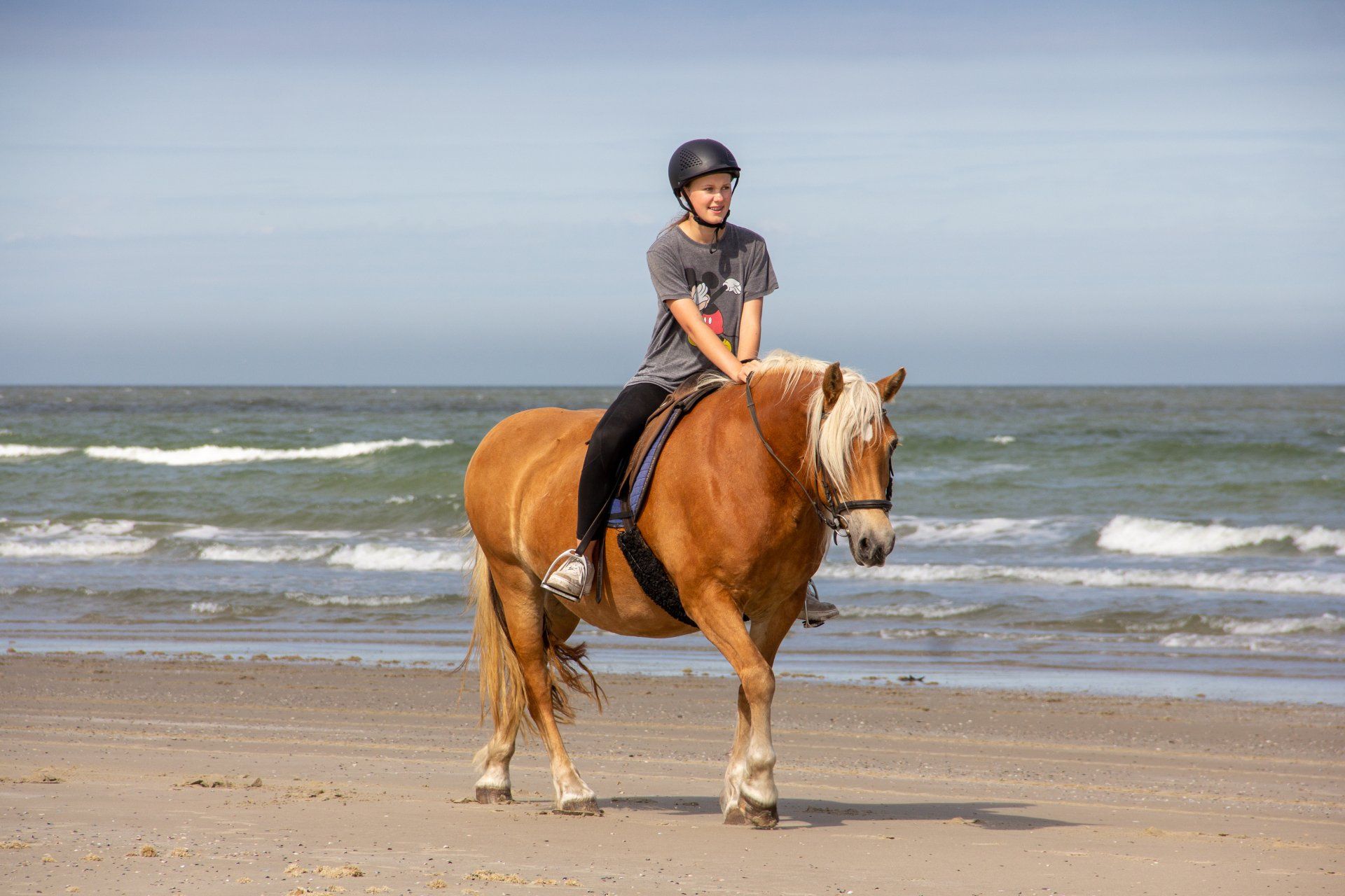 Strandritten voor alle niveau's, ook voor totale beginners! paardrijden op het strand van Ameland bij hollumer trap