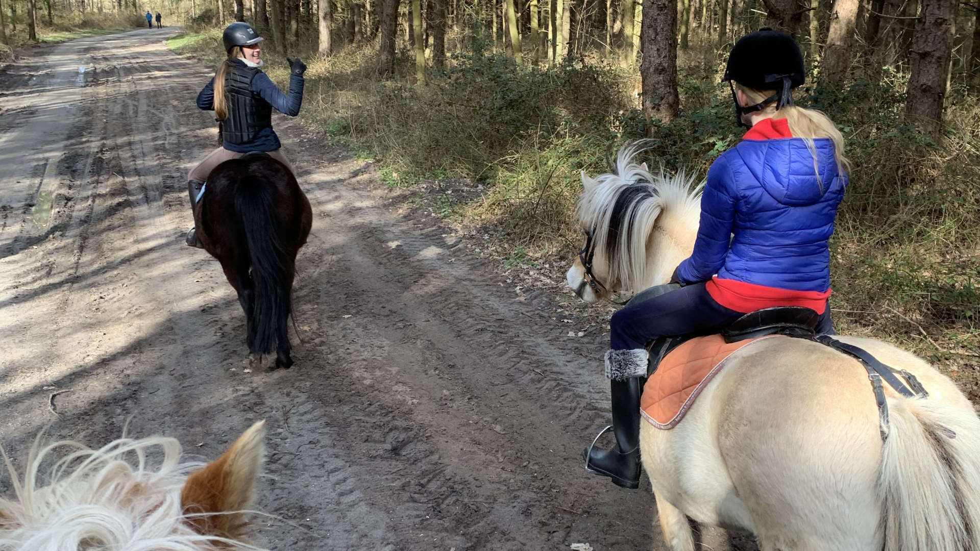 Rijden in het bos | Hollumer Trap | Paardrijden op het Strand