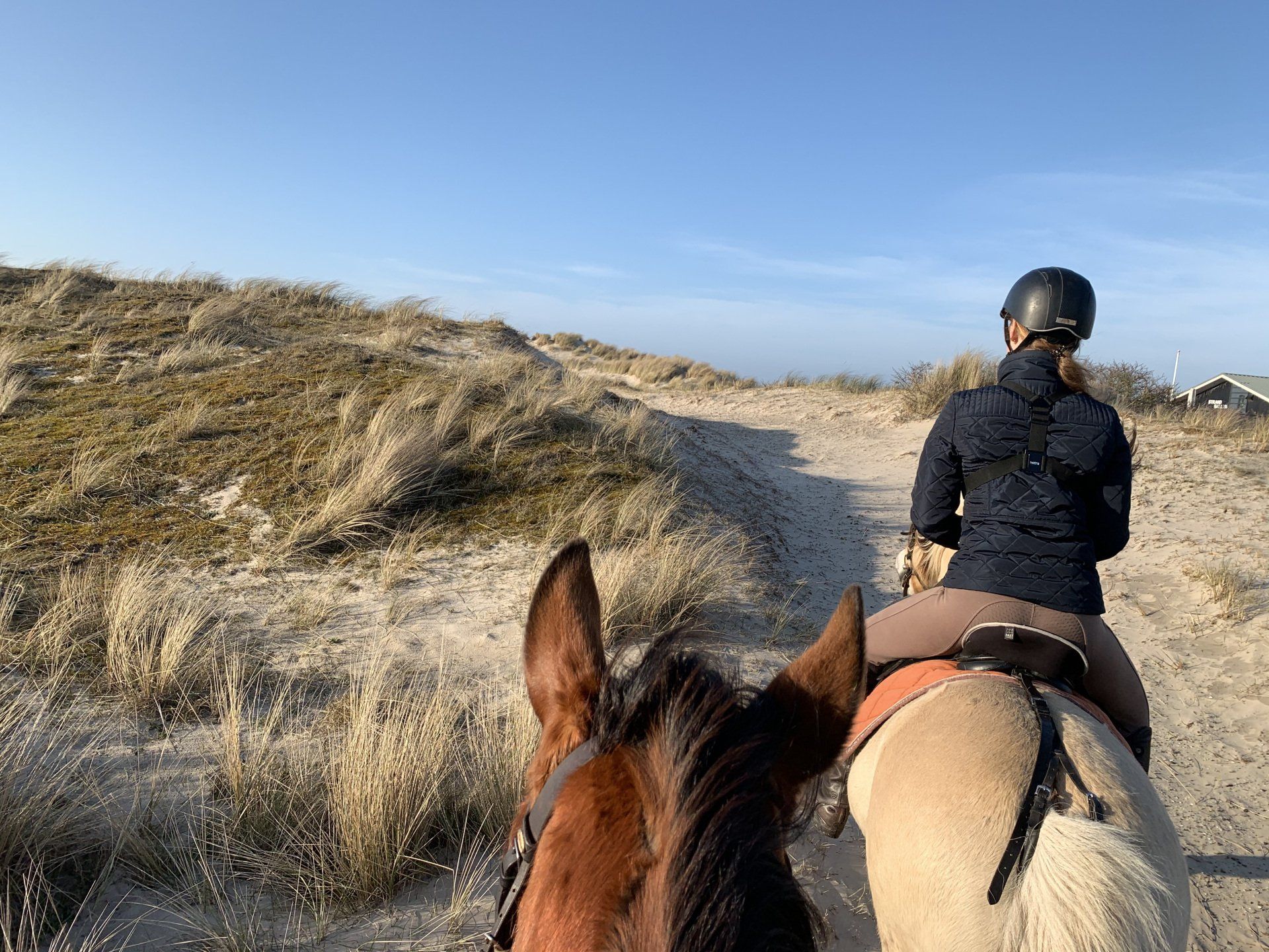 Duinen te paard