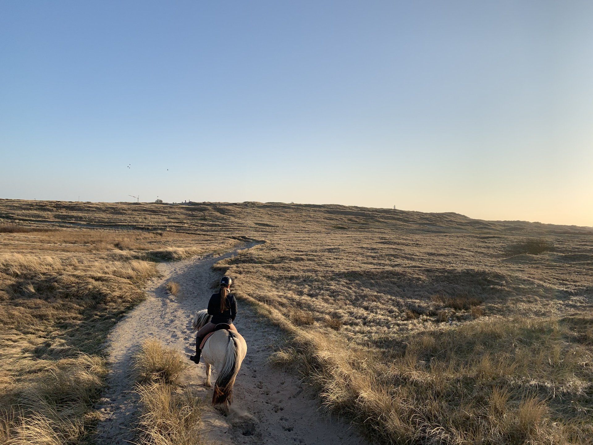 Duinen/ strand te paard