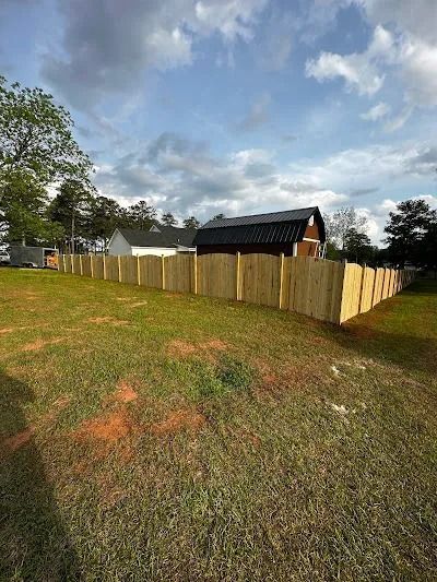 A wooden fence surrounds a grassy yard, with a house and blue sky in the background.