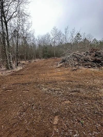 Cleared land surrounded by trees and a pile of logs on an overcast day.