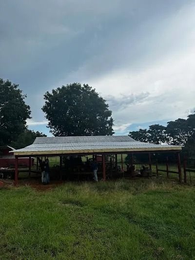 Barn with metal roof, several people inside, trees in the background, grassy field, cloudy sky.