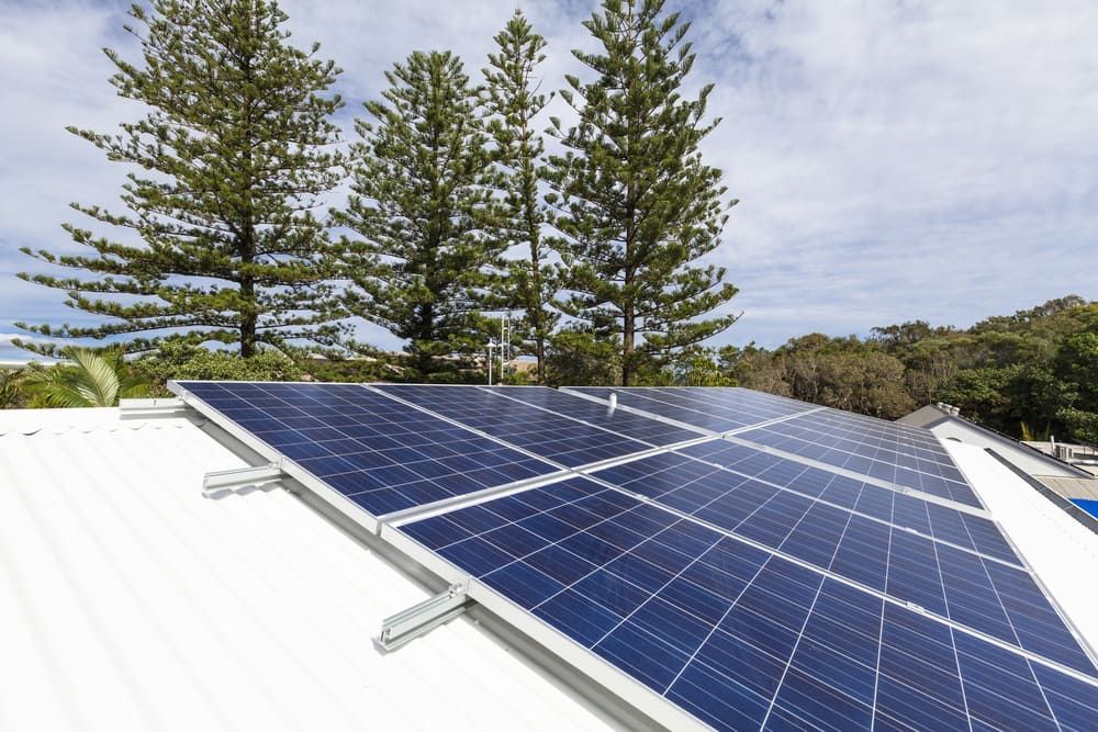 A Row Of Solar Panels On A Roof With Trees In The Background — David Lewis Solahart in Byron Bay, NSW