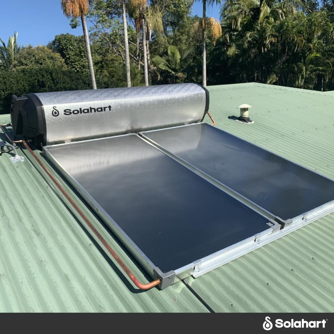 A Solar Water Heater is Sitting on Top of a Green Roof — David Lewis Solahart in Goonellabah, NSW