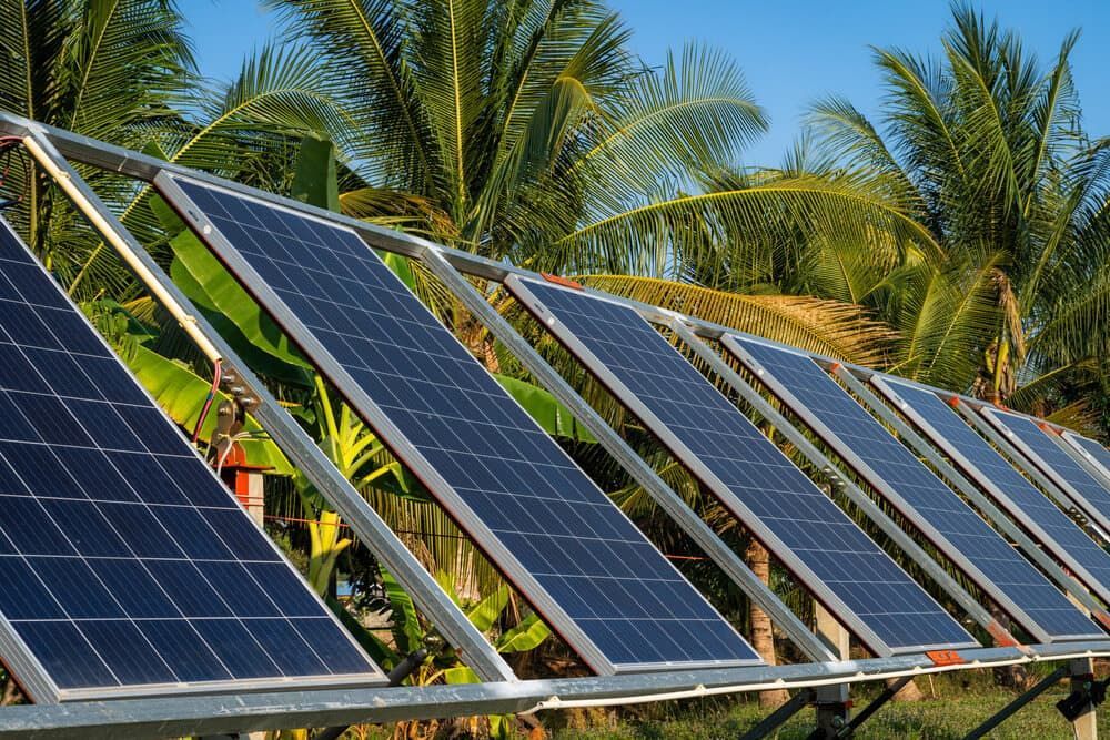 A Row Of Solar Panels With Palm Trees In The Background — David Lewis Solahart in Kyogle, NSW