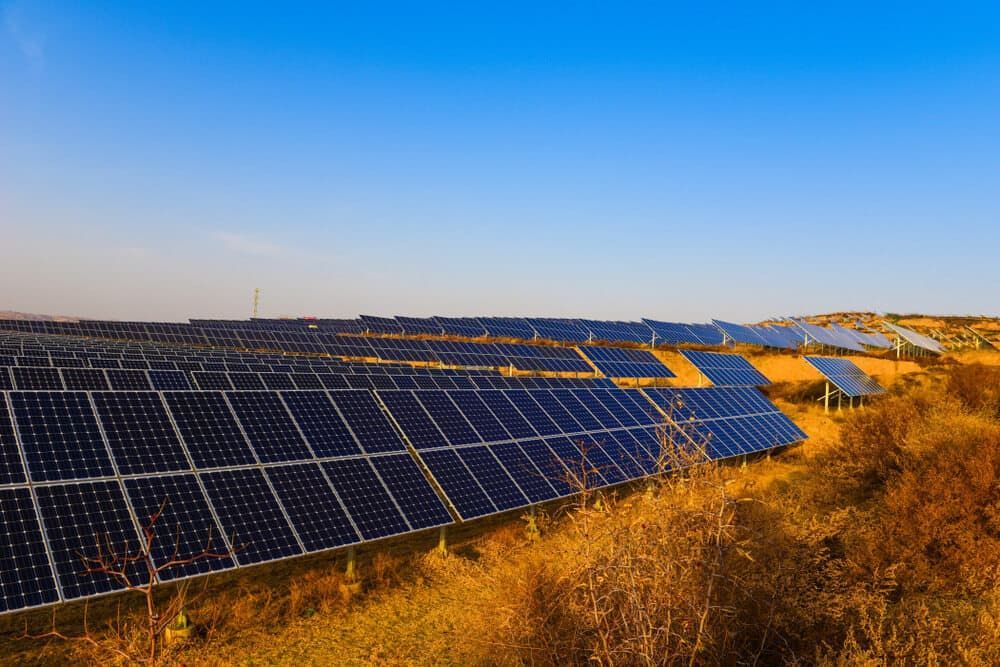 A Row Of Solar Panels In A Field With A Blue Sky In The Background — David Lewis Solahart in Kyogle, NSW