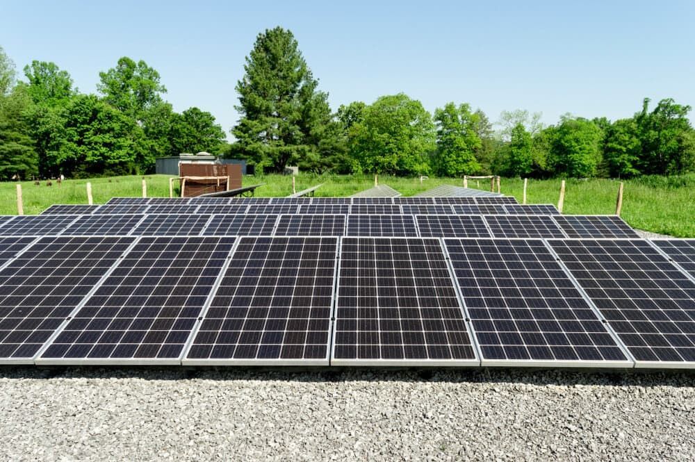 A Lot Of Solar Panels Are Sitting On The Ground In A Field — David Lewis Solahart in Bangalow, NSW