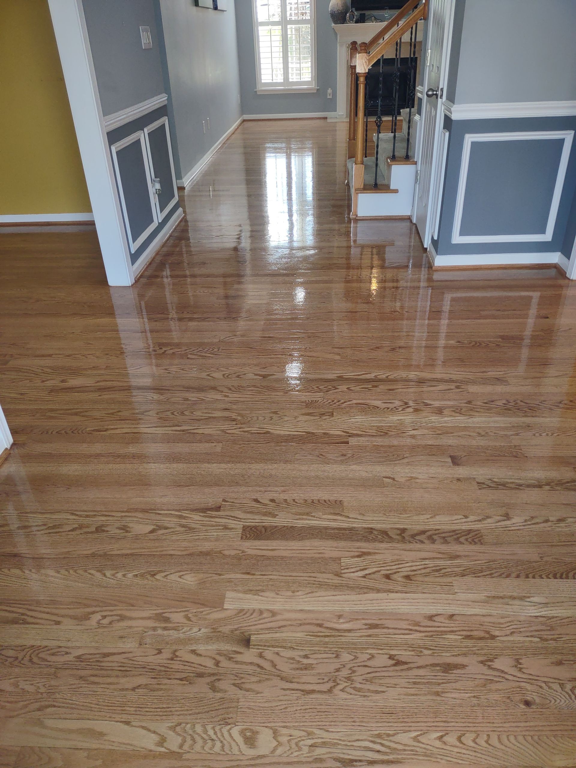 Reflective, polished hardwood floor in a hallway with white trim and grey walls. Staircase visible in background.