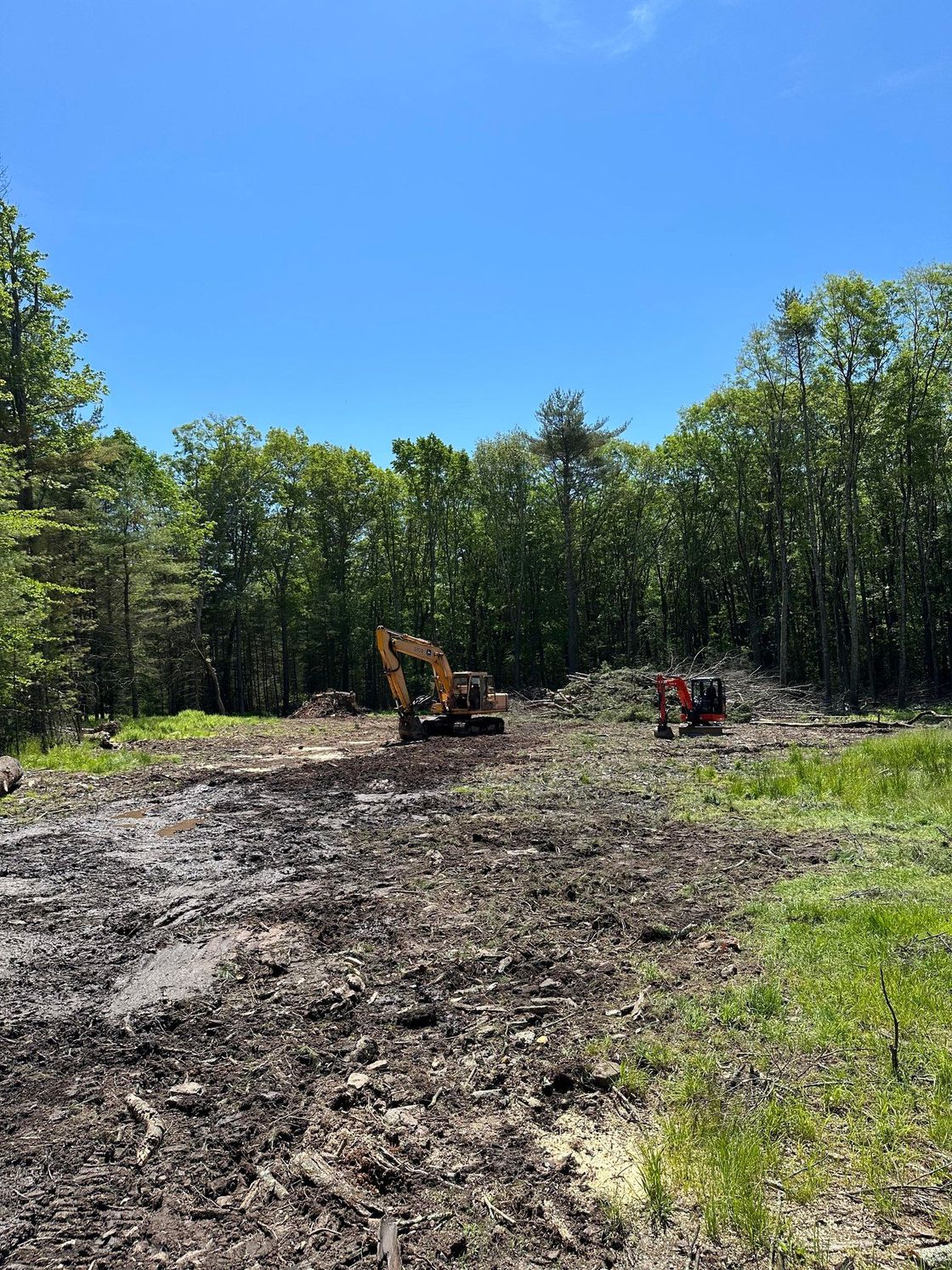 Muddy clearing with excavators, surrounded by trees under a blue sky.
