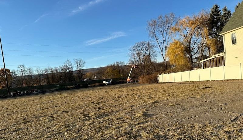 A field with dead grass, trees, and a house under a clear blue sky. A lift is pruning a tree.